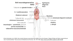 Afecțiuni medicale asociate ADHD-ului