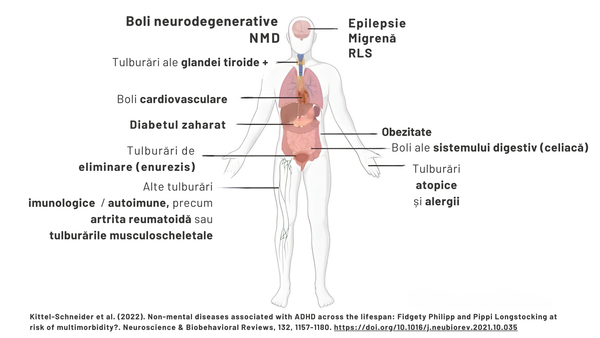 Afecțiuni medicale asociate ADHD-ului